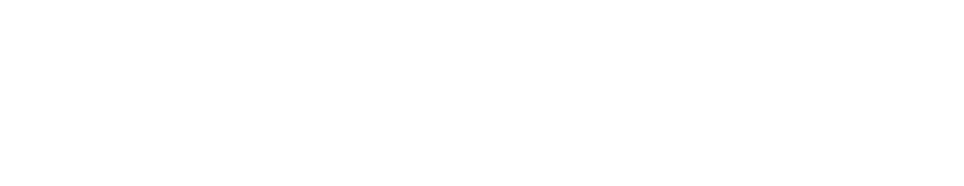Jade Bird US logo